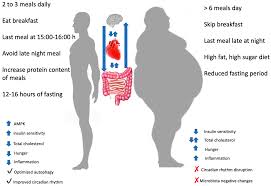 Find out what levels are normal and counts as high cholesterol. Nutrients Free Full Text The Influence Of Meal Frequency And Timing On Health In Humans The Role Of Fasting Html