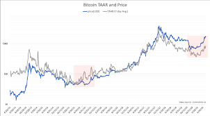 bitcoins 2019 price run driven by real transaction growth