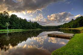 Due to the nature that the cabins are located in the. Frequently Asked Questions Cuddle Up Cabin Cabin Rentals Vacation Rentals