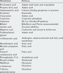 Not all blood is alike. Metabolites Detected In Camel Urine By Gc Ms Download Table