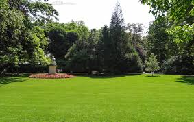 Overlooking An Open Area Of Luxembourg Gardens With Well Kept Grass Flowers And Trees To Enjoy The View Whil Public Garden Garden Services Luxembourg Gardens