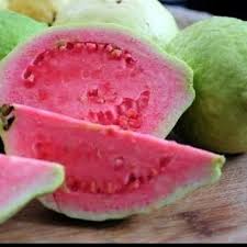 Check spelling or type a new query. Jual Buah Jambu Biji Merah Segar Per 1 Biji Jakarta Barat Riskaviantishop Tokopedia