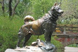 How many times has the fate of a man, or even a nation, hung from the collar of a dog, asks dr. 131 Famous Dog Names Amazing Dogs From Tv Movies Real Life