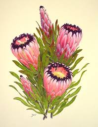 Pin On Scientific Images