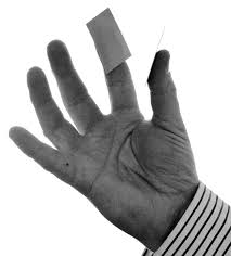 The index finger is driven separately to the other digits. Opposition Of The Index Finger And Thumb Of The Human Hand The Two Download Scientific Diagram