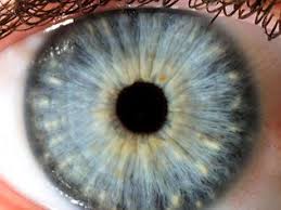 Mexico Introduces Identity Cards Linked To Iris Scans Gozler