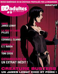 Bd-adultes, revue numérique de bd érotique #9 - Collectif - Librairie  Eyrolles