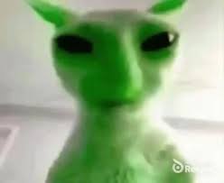 images?q=tbn:ANd9GcRgyEEkHnuVCr1qKOqJfD5