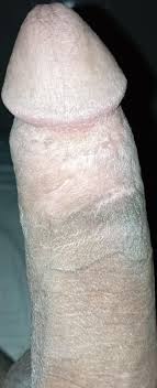 صور ازبار - زززبي | منتديات سكس العرب