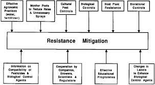 Many plants actually repel various types of pests, and some environment, decreased pesticide use, and reduced the occurrence of pesticide resistance in pest populations. E Ective Resistance Mitigation And Integrated Pest Management One And Download Scientific Diagram