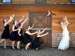 We are a handmade alternative wedding bouquet service made to suit your personality from. Bridal Bouquets Replaced With Cats