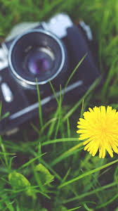 Tons of awesome camera hd wallpapers to download for free. Mobile Photography Wallpapers Wallpaper Cave