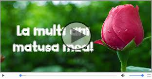 La multi ani si sper ca in anul care vine sa fiti mai fericiti si mai voiosi si mai frumosi si mai de capul vostru! La Multi Ani Draga Matusa Felicitari Muzicale Mesajeurarifelicitari Com