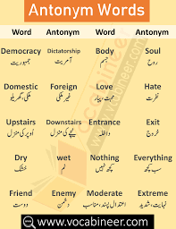 Synonyms And Antonyms List With Urdu Hindi Meanings In 2020 English Vocabulary Words Learn English Words English To Urdu Dictionary