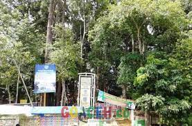 Hutan ini terletak di aceh, tepatnya di kota langsa yang memiliki luas 16.000 hektar. Yuk Berwisata Ke Hutan Kota Langsa Gosumut Com