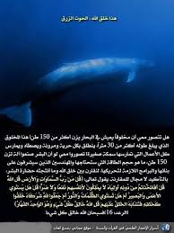 صور غريبة من الإعجاز العلمى فى القرآن والسنه islam and science miracles of quran islamic information