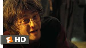 They get the tickets to the quidditch world cup final but after the match is over, people dressed like lord voldemort's 'death eaters' set a fire to all the visitors' tents, coupled with. He S Back Harry Potter And The Goblet Of Fire 5 5 Movie Clip 2005 Hd Youtube
