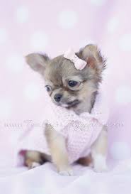 We deal with people from new york city often. Pin On Itsy Bitsy Treasures