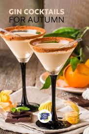 6 Of The Best Gin Cocktail Recipes For Autumn Craft Gin Club The Uk S No 1 Gin Club In 2020 Gin Cocktails Gin Cocktail Recipes Best Gin Cocktails