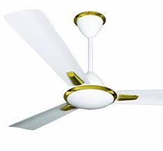 Enjoy free shipping & browse our great selection of renovation, ceiling fan blades, bathroom fans and more! Ceiling Fan Type Fans Fancy At Best Price Inr 1 10 Kinr 1 20 K Piece S Maharashtra From Shree Krishna Enterprises Id 5003887