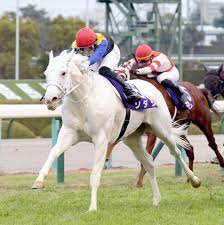 Copyright nhk (japan broadcasting corporation). æ³¨ç›®é¦¬å‹•å' ç™½æ¯›ã®ã‚½ãƒ€ã‚·ã¯æ¡œèŠ±è³žã‚'ç›®æ¨™ã«ï¼'ï¼æ—¥å¸°åŽ© ã‚¹ãƒãƒ¼ãƒ„å ±çŸ¥