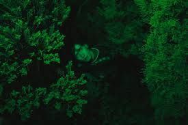 Bark: Carsick Charlie