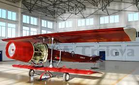 Replica of pioneering Romanian airplane, the Coanda 1910 ...