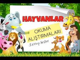 1 Sinif Okuma Alistirmalari 5grupsesler Hayvanlar Okumayazma Ilkokumayazma 1sinif Sesler Okumacalismasi Hayvanlar Okuma 1 Sinif Matematik