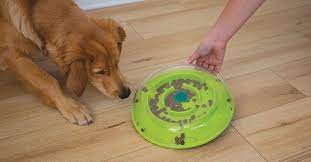 We did not find results for: The 6 Best Dog Puzzle Toys For Mental Stimulation Furtropolis