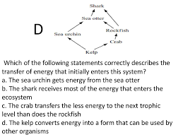 Ecology Test Review Ppt Download