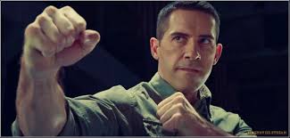 I enjoyed, but i'm pretty sure the number of times i found myself cringing and/or someone in the theater laughing out loud exceeded the times. 7 Best Ip Man 4 Ideas Ip Man 4 Ip Man Ip Man Film