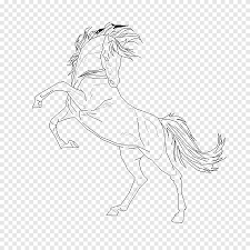 Mind you i did when i first started and confused myself more before i went freestyle. Mustang Stallion Pack Animal Drawing Sketch Mustang Horse Legendary Creature Png Pngegg