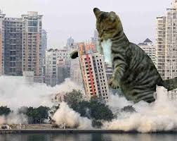 Catzilla Destroys Highrise Building Cats Crazy Cats What Cat