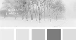 Winter White Design Seeds Color Inspiration Color Schemes