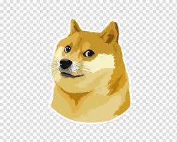 Stay up to date with the latest dogecoin price movements and forum discussion. Shiba Inu Dogecoin Iphone 6 Iphone 4s Doge Transparent Background Png Clipart Hiclipart