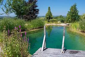 If the swimming pool and equipment is in reasonable condition, simple conversion can be done. Natural Swimming Pools Everything You Need To Know About Building One In Your Garden Country Life