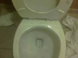 We did not find results for: Recovered Og Bt 2015 2007 Kohler Barrington Pressure Lite Toilet Youtube