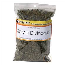Denn das gewächs hat eine hochpotente. Informationen Zu Spice Und Salvia Jhj Hamburg E V