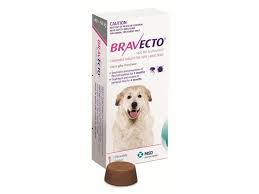 Also she reacted badly (vomiting) to a similar pill when she was a puppy. Bravecto Productreview Com Au