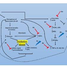 Image result for Rhinacanthus xerophilus