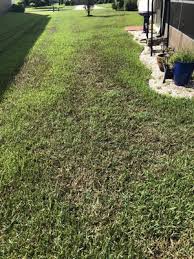 Safari termite & pest control. Safari Termite Pest Control 6454 Beach Blvd Jacksonville Fl Pest Control Mapquest