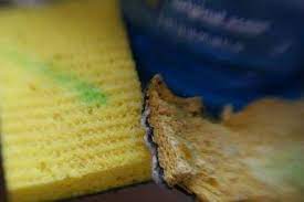 Have you experienced smelly sponge syndrome with dawn? Does Using Dawn Cause Smelly Sponges