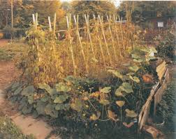 Simone Nieweg S Garden Simon Landscape Nature