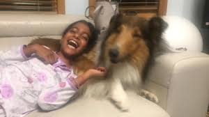 Mașina are drept de circulație, a fost înmatriculată și itp valabil. Cazul Sorina Decizie Radicala A Inaltei Curti Sectia Speciala I A Incalcat Fetei Dreptul La Libera Circulatie Mobile