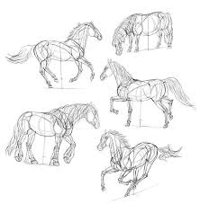 How do you draw an arabian horse? Bilder Zum Nachzeichnen Fur Anfanger Und Fortgeschrittene Archzine Net Wie Zeichnet Man Ein Pferd A Horse Drawings Horse Drawing Tutorial Animal Drawings