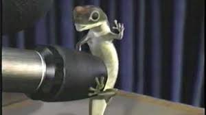 Geico commercial vehicle insurance comes with outstanding service, flexible ways to manage your policy, and competitive rates. Final Plea Geico Wiki Fandom