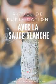 Epingle Sur Phrases Inspirantes