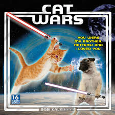 Cat 2021 can go in 2 different directions when it comes to the cat exam. Cat Wars 2021 Calendar Sellers Publishing Inc Amazon De Bucher