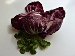Radicchio Ein Bunter Salat In 2020 Garten Ernte Anbau