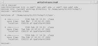 Article - Recovering Files On The Cen...